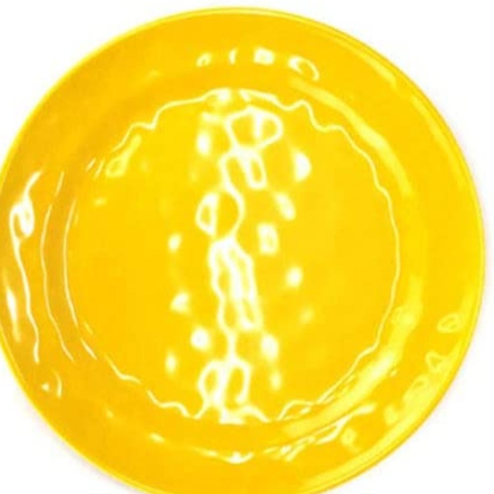 Set of 4 House & Garden Melamine Dinner Plates